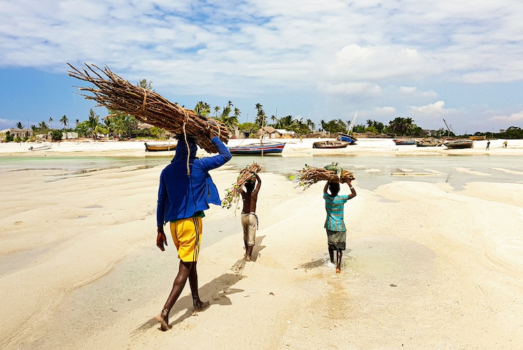 mozambicans mozambicans