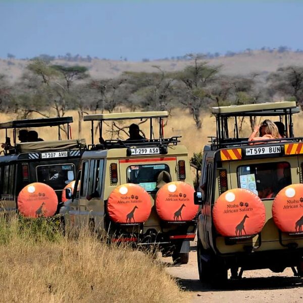 Ntaba-African-Safaris-on-Safari-in-Africa-We-Take-You-to-Africa For the past 20 years, Ntaba African Safaris has specialized in delivering luxury safaris to Africa, consistently creating unforgettable and unique Safari experiences and activities for our clients.No one does it better than Ntaba African Safaris – because no one knows Africa as well as Ntaba African Safaris. 