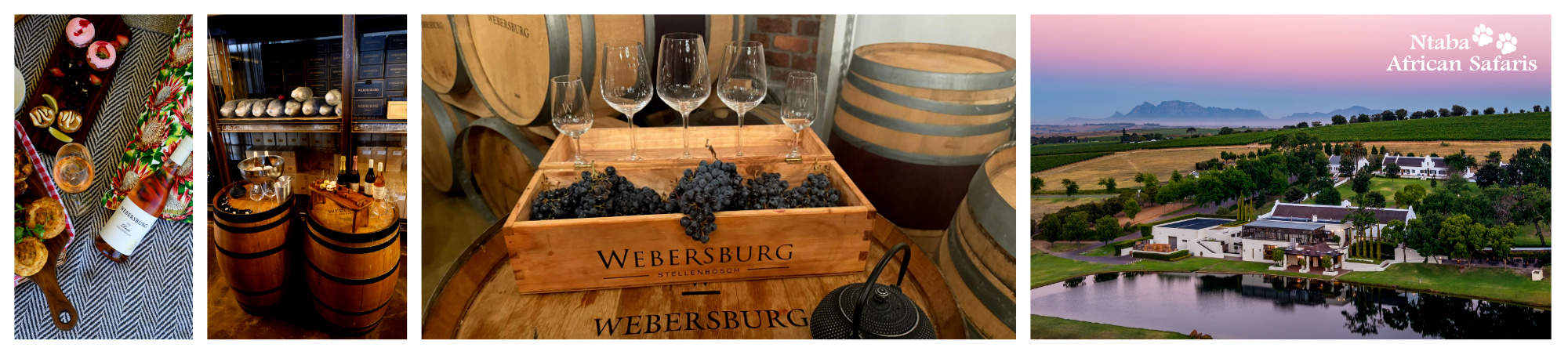 Ntaba AFrican Safaris - Webersburg - Discover a timeless Cape Winelands experience at Webersburg Wine Estate. Nestled on the slopes of the Helderberg and just minutes from Stellenbosch, this historic wine estate offers visitors the chance to enjoy wine tastings, explore the estate’s cellar, dine at the restaurant, and stay in charming accommodation within the vineyards. An ideal pairing with a bespoke South African journey curated by Ntaba African Safaris. 🍷 Estate wine tastings 🏡 Historic Cape Dutch homestead 🍽 On-site restaurant 🌿 Accommodation on the estate Experience the beauty of the Cape Winelands as part of your South African adventure. #NtabaAfricanSafaris #WebersburgWineEstate #StellenboschWinelands #CapeWinelands #SouthAfricaTravel #LuxurySafari #WineTastingSouthAfrica #ExploreStellenbosch #WineEstateExperience #SafariAndWine #VisitSouthAfrica #AfricanTravel